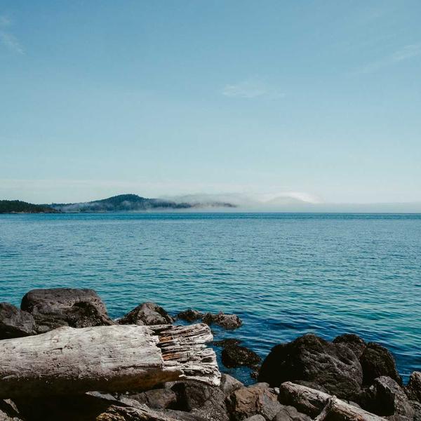 Embroidered Bridal Clutch