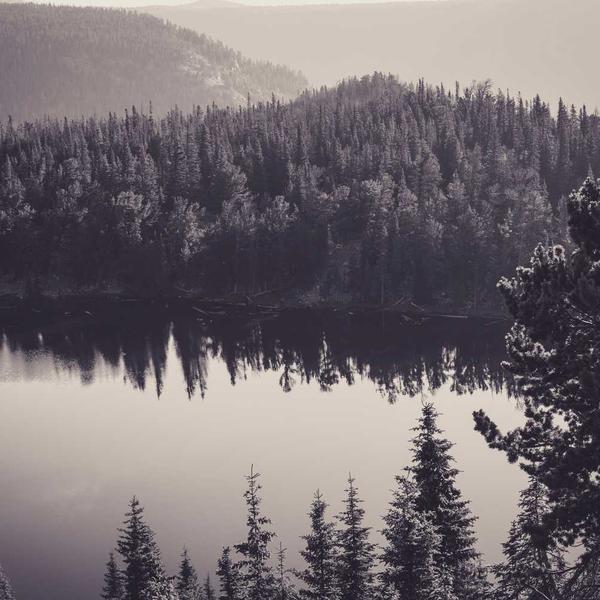 Block-Printed Cotton Kurta