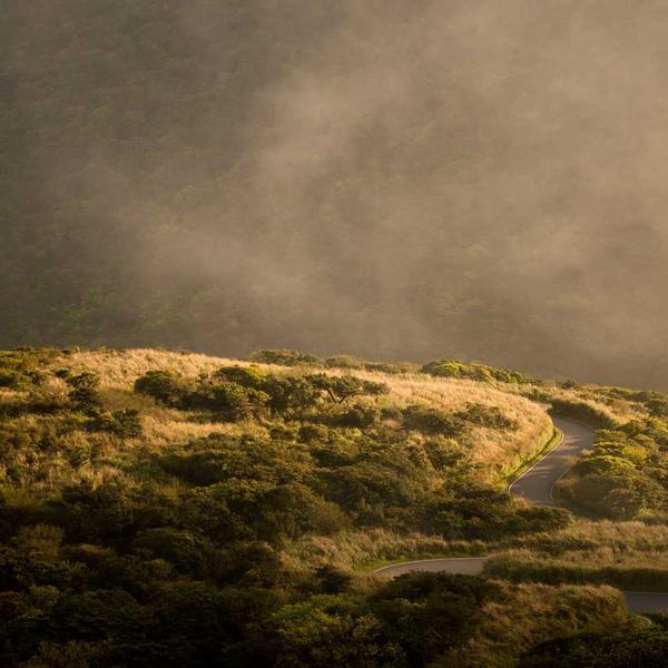 1980s Polaroid Camera — SLR 680