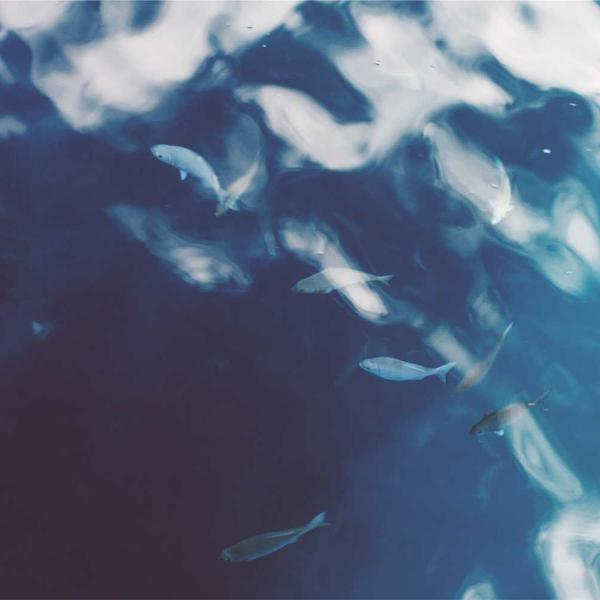 Calligraphy Pen Set — Italic Nibs