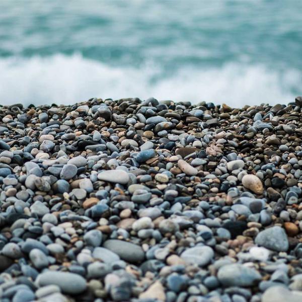 Hammered Gold Hoop Earrings