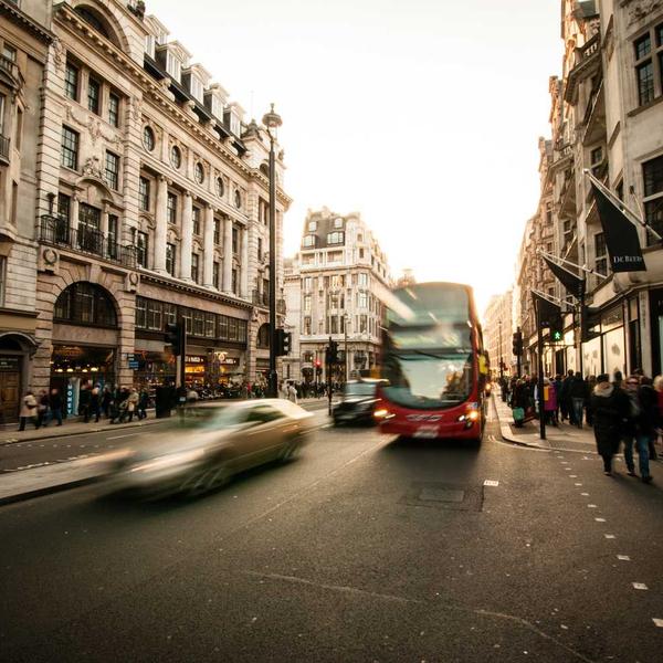 Mini Succulent Wedding Favors