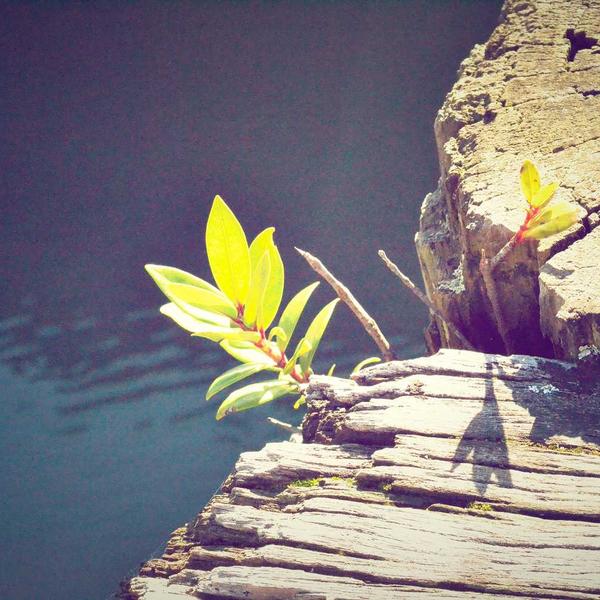 Brass Art Deco Table Lamp