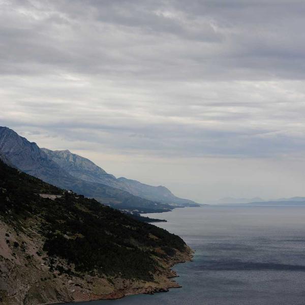 Washi Tape Collection — Botanical