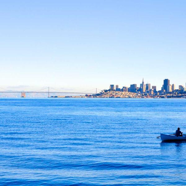 Lavender Goat Milk Soap Bar