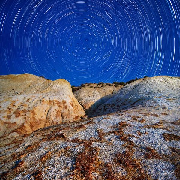 Hand-Carved Wooden Stamp Set