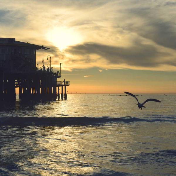 Boho Line Art Illustrations