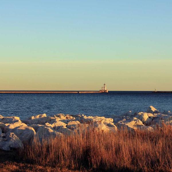 Linocut Printmaking Starter Kit