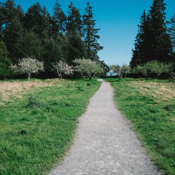 Vintage Leather Messenger Bag