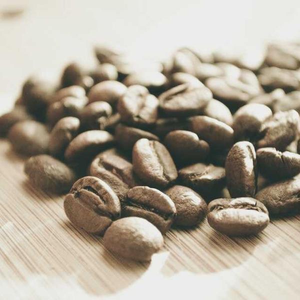 Social Media Kit — Instagram