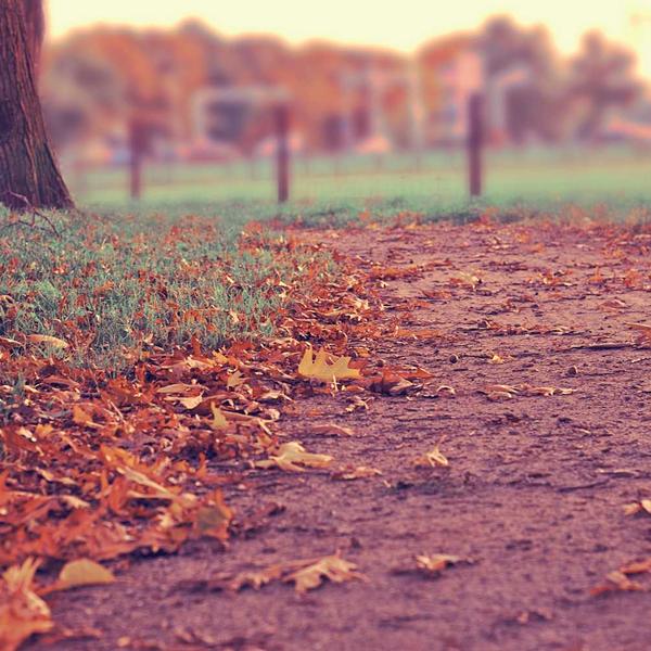 Vintage Wooden Bookends
