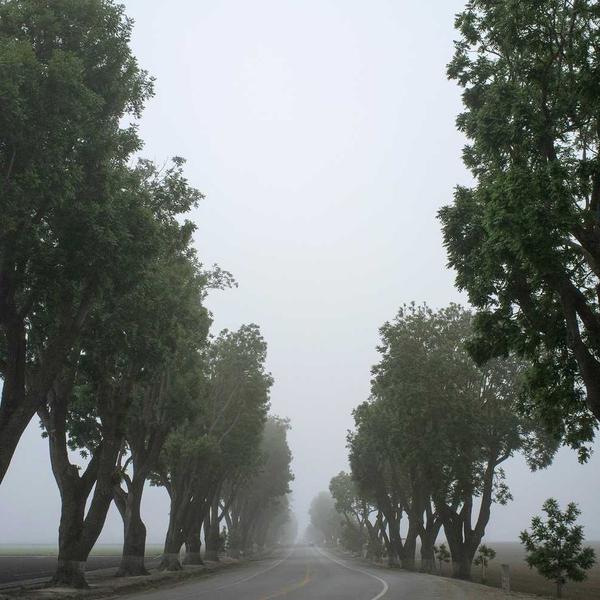 Hand-Painted Ceramic Mug Set