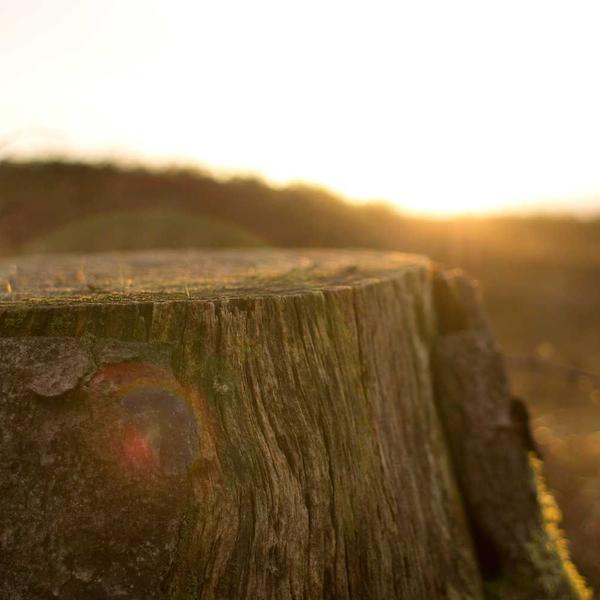 Sterling Silver Jewelry Findings Kit