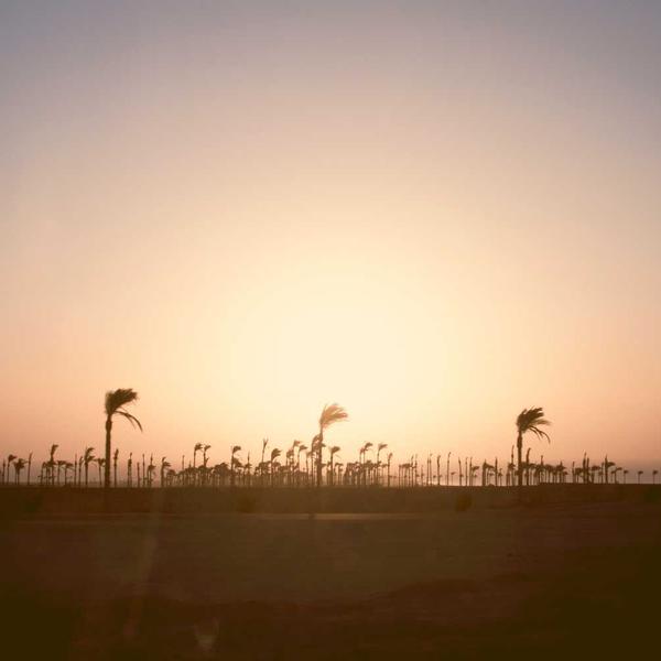 Brand Identity Toolkit — Complete